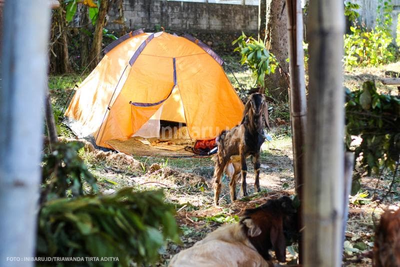 Pedagang bahkan mendirikan tenda sebagai tempat tinggal untuk sementara.<br>