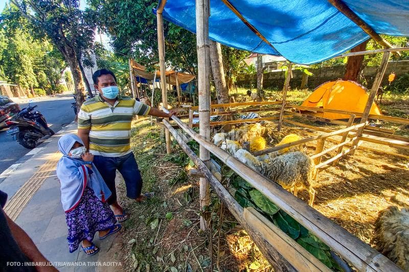 Pembeli harus memakai masker saat hendak membeli hewan kurban.<br>