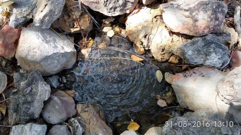 Ada Sumur Mendidih di Hutan Gunung Citro, Seperti Apa?