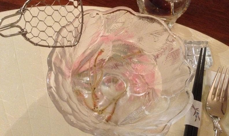 Mau makan? Tangkap dulu ikannya . (via Jalan2kejepang)