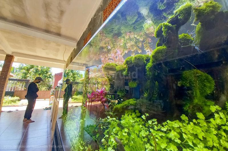 Minigaleri di rumah Edi.