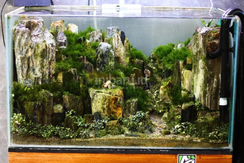 Beberapa contoh akuarium yang sudah jadi.