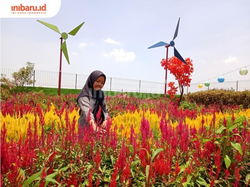 Menjadi travel blogger atau travel vlogger bisa bikin kamu dapat duit. (Inibaruid/ Zulfa Anisah)