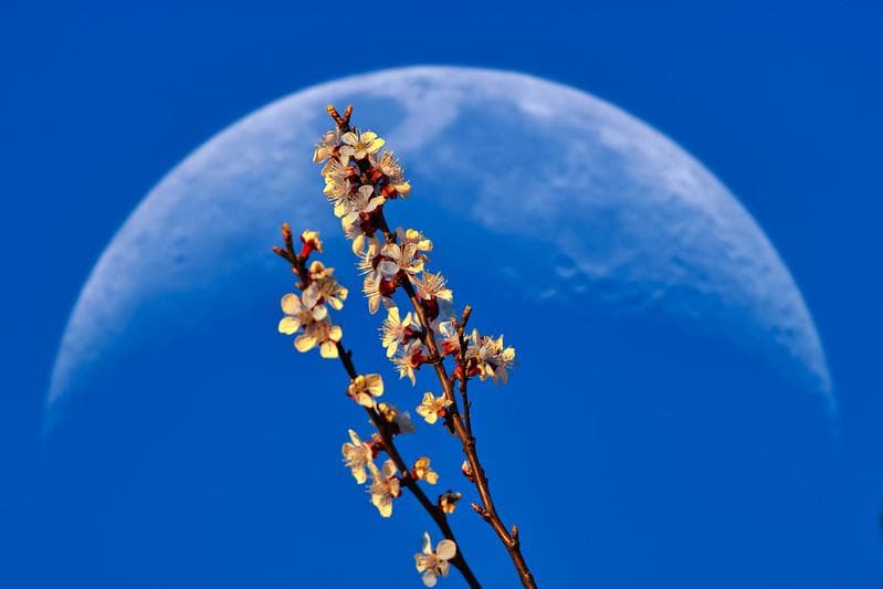 Fenomena ini nggak bakal bikin bulan berwarna biru beneran kok. (Flickr/

Oleksandr K)