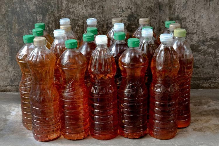 Pastikan kamu menutup rapat botol sebelum membuangnya. (Shutterstock via Kompas)