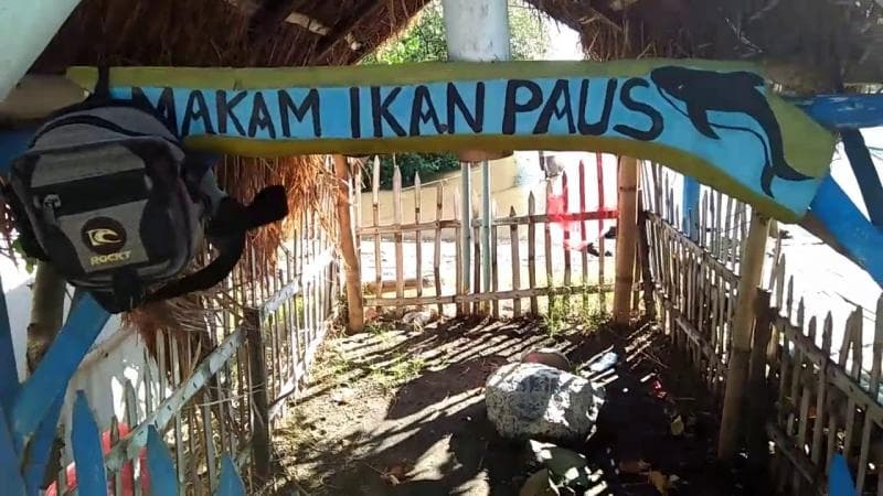 Makam ikan paus di Probolinggo, Jawa Timur yang dikeramatkan warga. (Youtube/The LerpeCrotz)