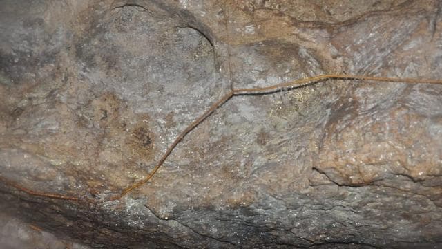 Heboh Video Goa Penuh Emas di Sumut, Begini Fakta Aslinya