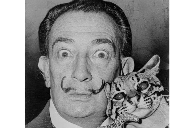 Salvador Dali. (Roger Higgins/Library of Congress via Kompas)