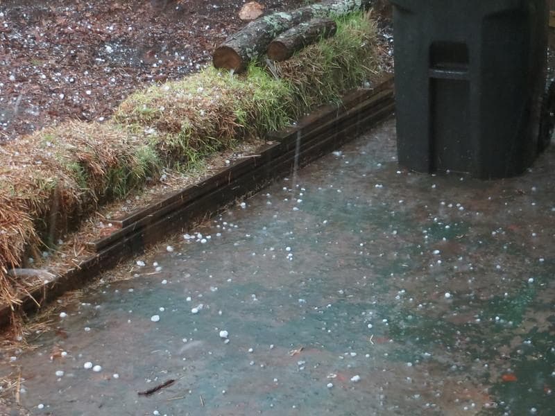 Hujan es juga biasanya diiringi angin kencang. (Flickr/

Jason Riedy)