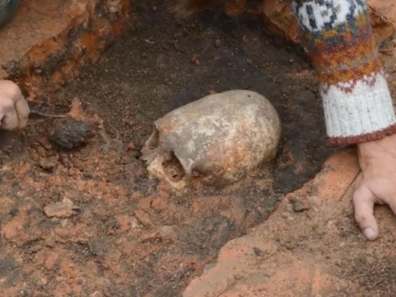 Tengkorak lonjong di Rusia, sering dianggap sebagai kerangka alien. (Mirror/CEN)