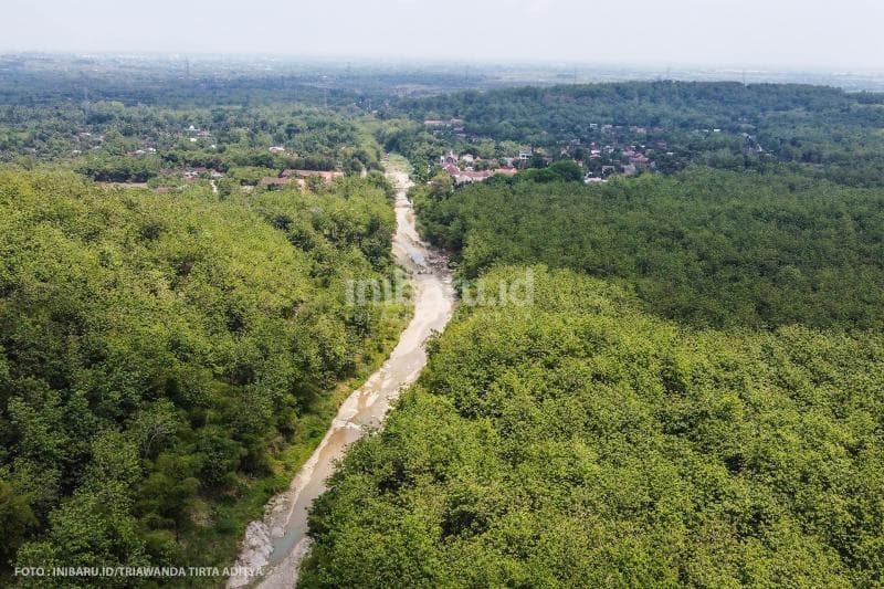 Sungai ini diapit hutan dan pohon.