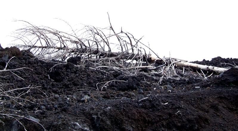 Duh, Ilmuwan Mengaku Sudah Melihat Tanda Kiamat