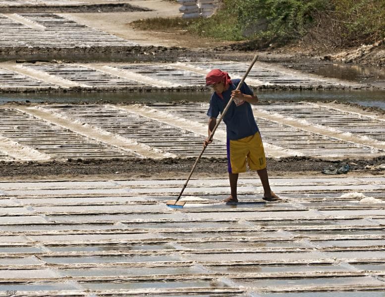 Tambak garam di Indonesia cukup banyak.&nbsp;(Flickr/ Brian Evans)