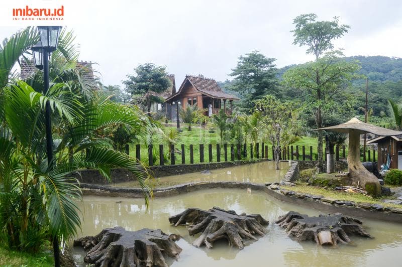 Kolam berisi berbagai macam ikan yang ada pada Santosa Stable. (Inibaru.id/ Kharisma Ghana Tawakal)