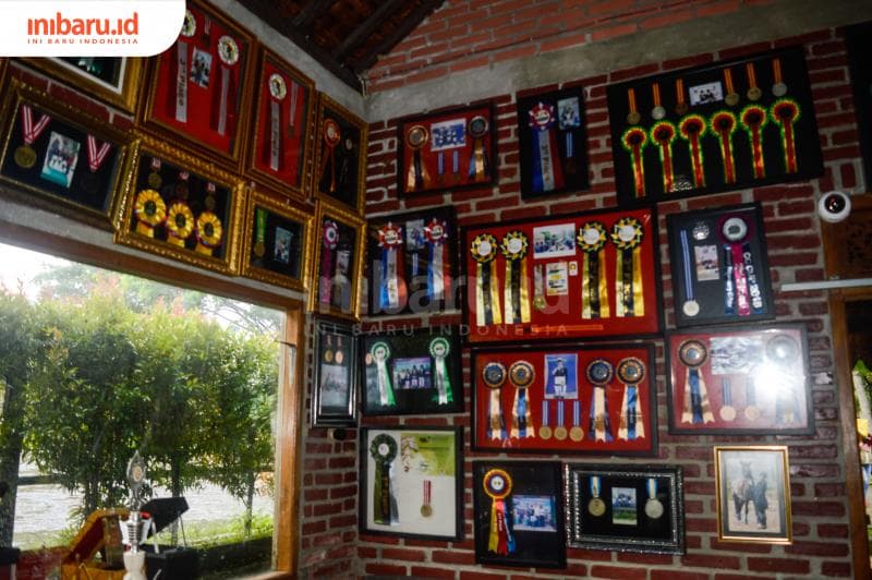 Banyak medali raihan para atlet jebolan Santosa Stable yang dipajang di ruang kantor Santosa Park.&nbsp;(Inibaru.id/ Kharisma Ghana Tawakal)