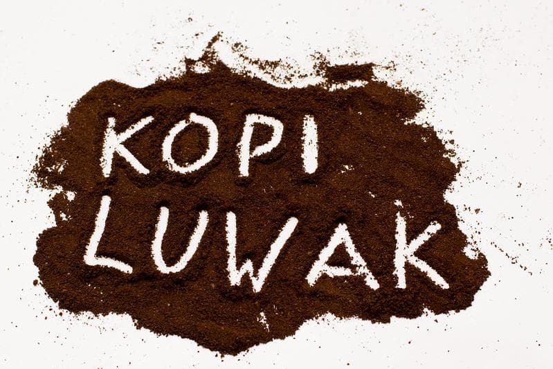 Dari Kotoran, Sebenarnya Siapa Sih Penemu Kopi Luwak?