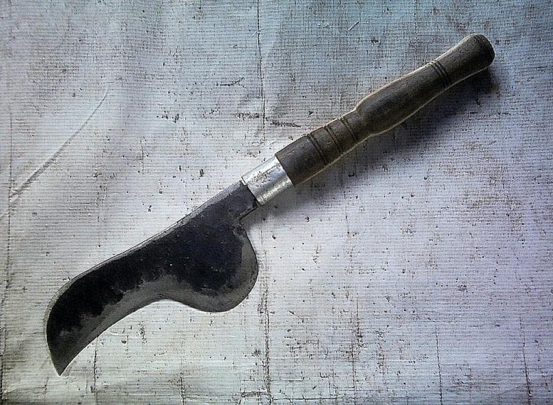 Kudi merupakan identitas budaya Banyumas. (Mikimedia)