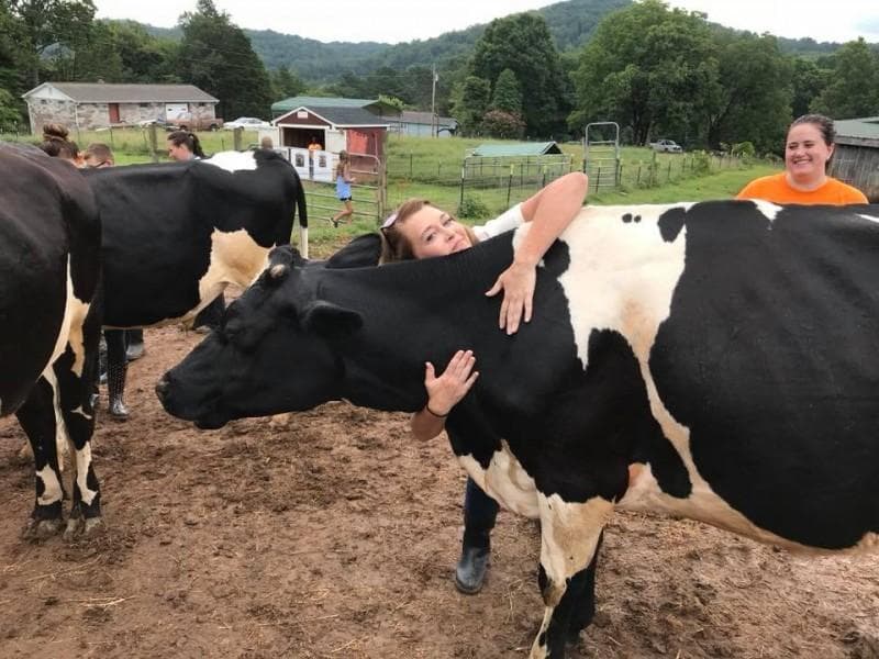Memeluk sapi dapat menjadi terapi melepas stres. (Rutherfordsource)