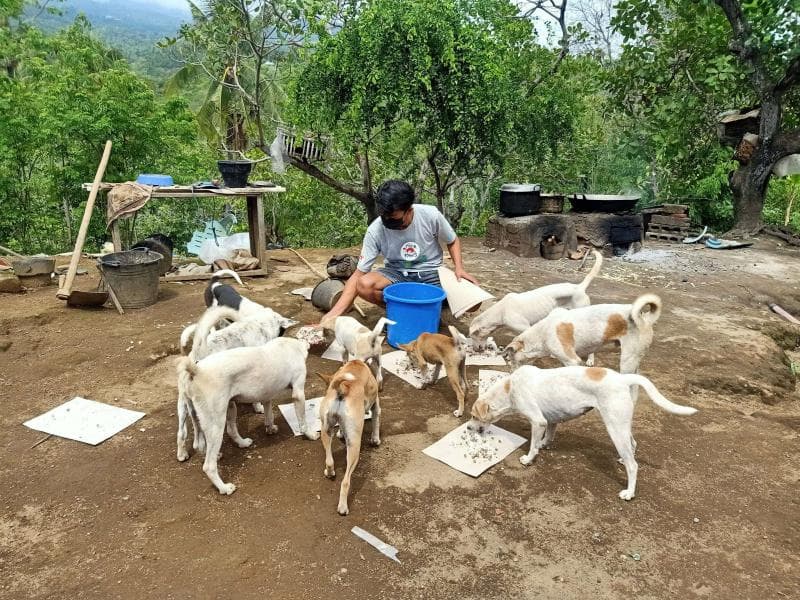 Umpatan "Asu" atau "Anjing" sudah dipakai orang Indonesia selama berabad-abad. (Twitter.com/fourpawsint)