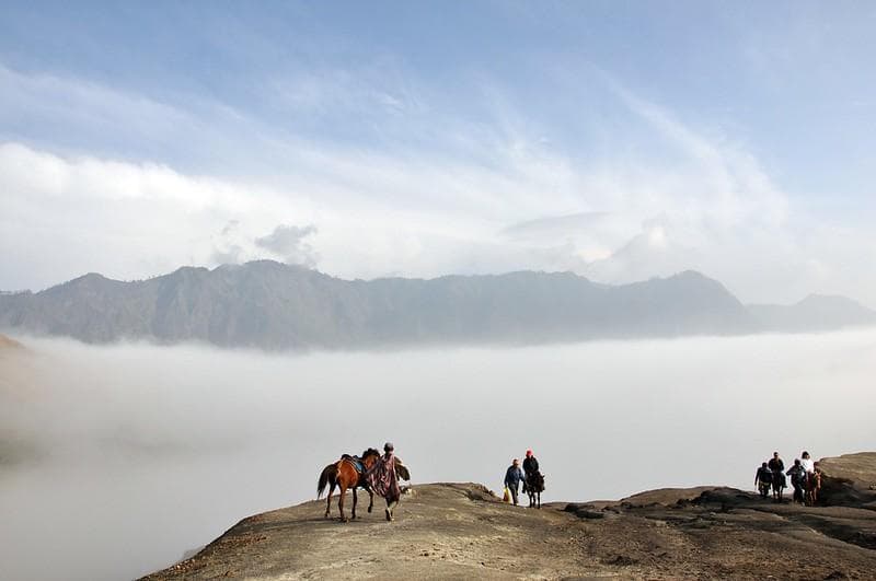 Ilustrasi: Warga Bromo naik kuda sebagai alat transportasi sehari-hari. (Flickr/

Schristia)