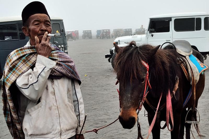 Warga Suku Tengger menganggap kuda yang mereka miliki seperti "jodoh" yang harus dijaga. (Flickr/

zaddam hussein)