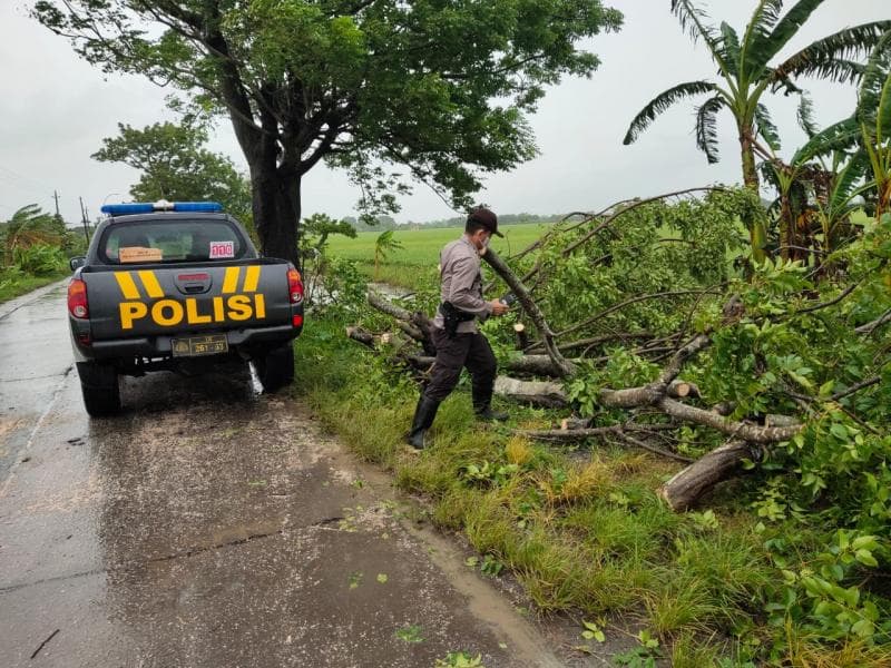 Hujan angin, petir, hingga puting beliung bukan hal aneh di Demak. (Polresdemak.com)
