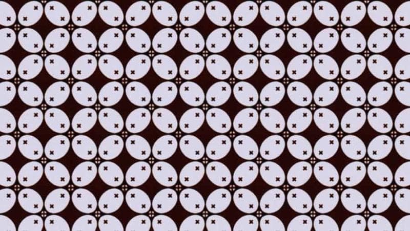 Batik larangan motif kawung. (Berkaos)