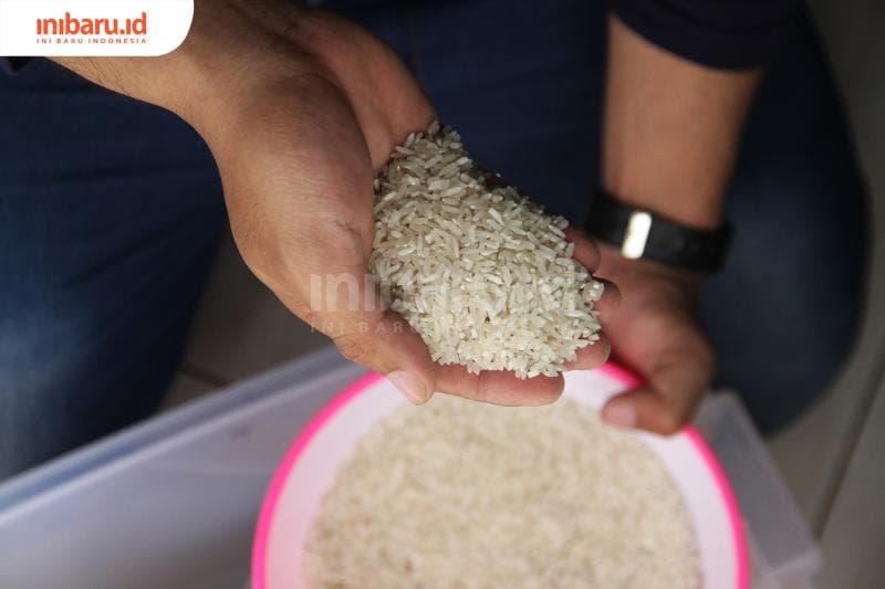 Beras yang dikonsumsi keluarga Keraton Jogja adalah versi premium. (Inibaru.id/Triawanda Tirta Aditya)