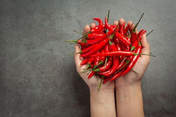 Capsaicin merupakan senyawa yang diperoleh dari cabe. (Freepik)