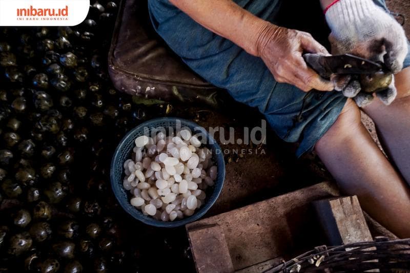 Kolang-kaling disebut dalam sejumlah cerita rakyat Indonesia. (Inibaru.id/Audrian F)