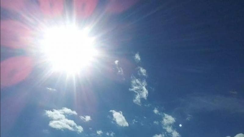 Cuaca yang cerah adalah waktu yang tepat untuk melakukan proses penyemprotan. (pxhere)