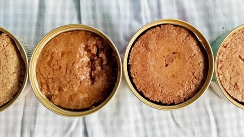 Makanan kaleng basah adalah asupan yang disarankan untuk kucing siam yang mengalami <i>hairball.</i> (hewani)
