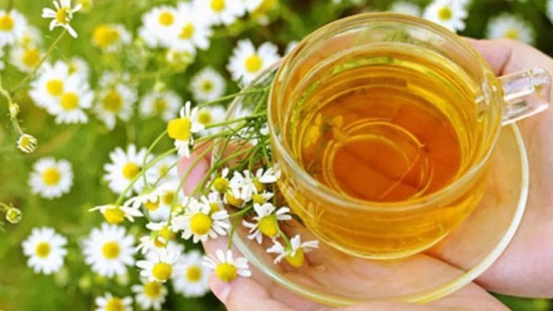 Cobalah minum secangkir teh chamomile setiap malam untuk mendapatkan tidur yang berkualitas. (Thinkstockphotos)