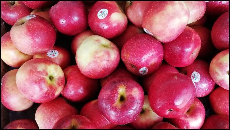 Warna kulit apel dipengaruhi iklim dan curah hujan perkebunannya. (Flickr/GT#4)