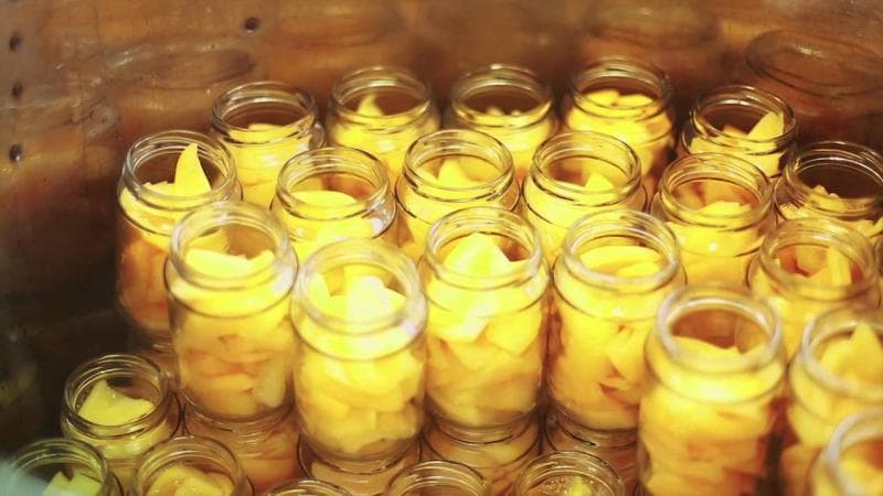 Olahan carica yang jadi oleh-oleh khas Wonosobo. (Manfaatcara.com)