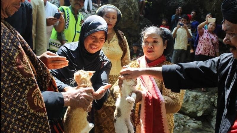 Manten kucing masih bisa dijumpai di Desa Pelem, Kecamatan Campurdarat, Tulungagung. (Etnis)