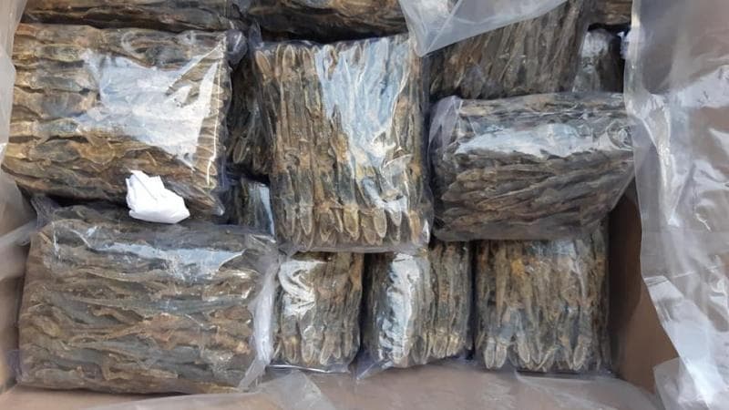 Cecak Kering, Bisnis Menggiurkan dengan Omzet Ratusan Juta Per Bulan