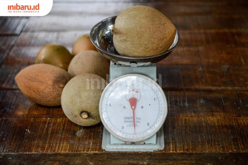 Harga jual buah mamey sapote cukup mahal, mencapai Rp 100 ribu per buah. (Inibaru.id/Kharisma Ghana Tawakal)
