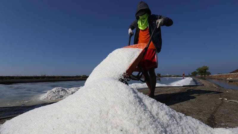 Hasil penjualan garam nggak bisa mengimbangi biaya operasional produksinya. Selain itu, garam dari petani ini mempuyai standar kesehatan yang rendah. (Yogya.inews)