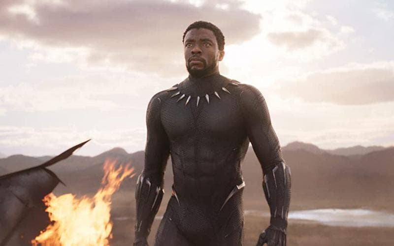 Negara Wakanda dipimpin oleh seoraang raja sekaligus black panther. (Imdb)