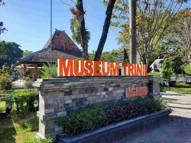 Museum Trinil, fosil manusia purba&nbsp;Pithecanthropus Erectus yang ditemukan Dubois dipamerkan. (Sinarpos)