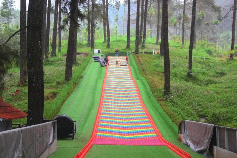 Seluncuran Mountain Slide di Hutan Pinus Limpakuwus. (SM Banyumas/MG03 Gandes Safitri Ariyani)