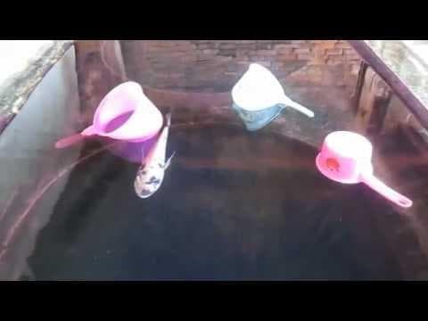 Sumur Kembar yang terletak sebelum makam Sunan Kudus. (Bagusmaulana.Blogspot)