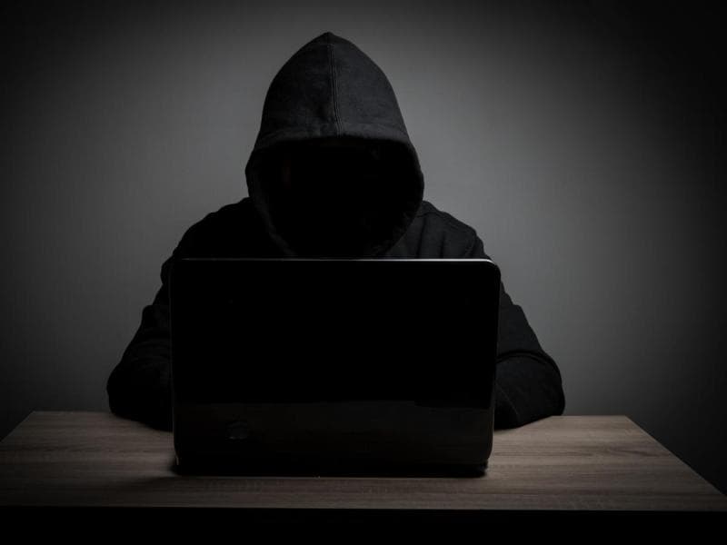 Sosok Bjorka masih misterius. (Freepik/jcomp via Detik)