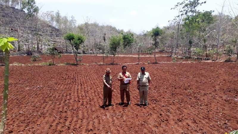 Lahan pertanian di Gunungkidul banyak yang mengandalkan air hujan. (Kabarhandayani)