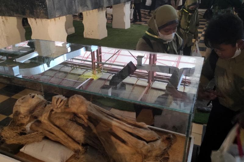 Di sana kamu bakal melihat&nbsp;keluarga manusia purba, replika hewan zaman purba, jenis kapak dan aksesoris manusia purba, hingga mumi perempuan yang didatangkan dari Mamasa, Sulawesi Barat. (Medcom)