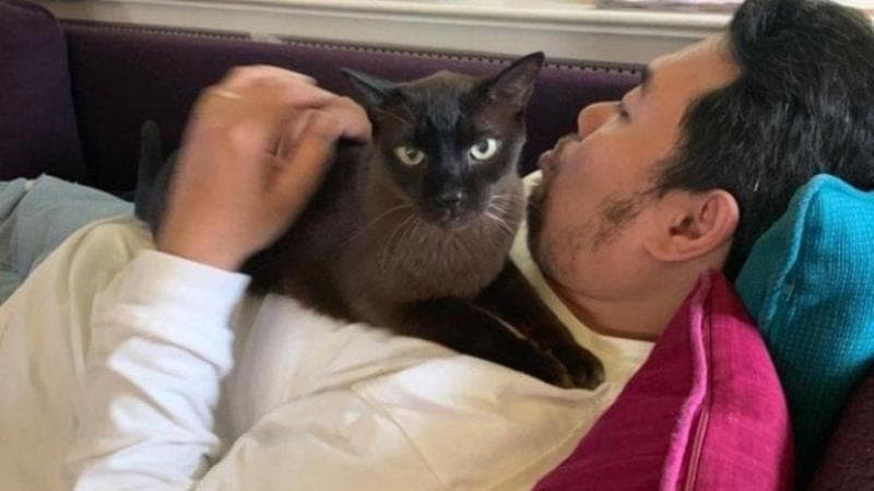 Kerja Santuy di Amerika A la Daden dan Juju; Jaga Rumah dan Kucing