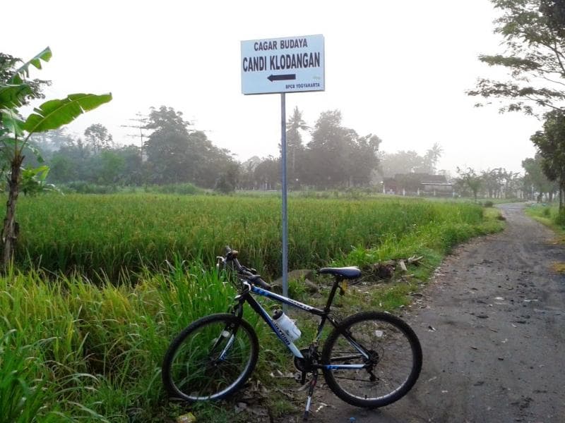 Candi Klodangan ada di tengah sawah. (nasirullahsitam.com)