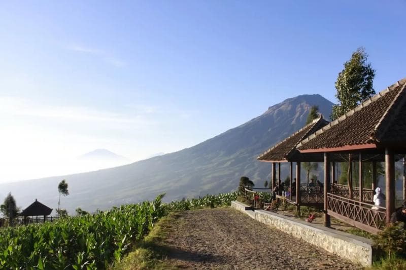 Ganjar Ajak Warga Jateng Menggalakkan Pariwisata
Dalam Negeri