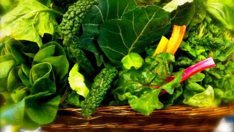 Ilustrasi: Sayuran hijau adalah asupan yang dianjurkan dokter untuk penderita diabetes. (Carriefehr)